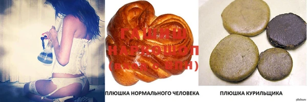 индика Абинск