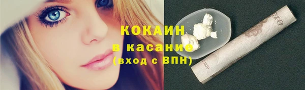 индика Абинск