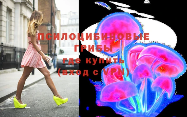 ГАЛЛЮЦИНОГЕННЫЕ ГРИБЫ Алексеевка