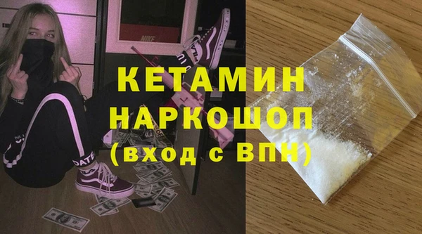 стаф Семилуки